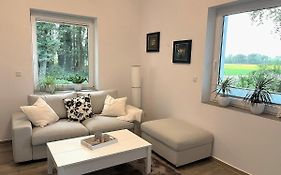 sanierte ruhige Wohnung in der Natur mit Küche
